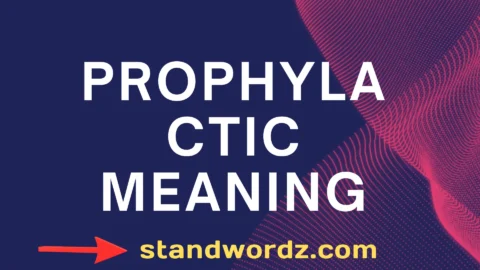 prophylactic meaning