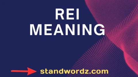 rei meaning