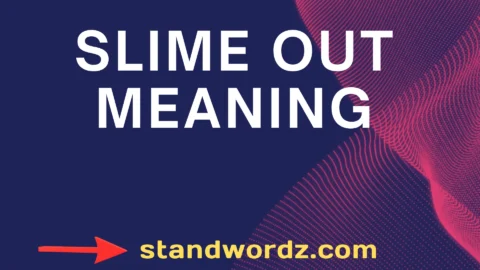 slime out meaning