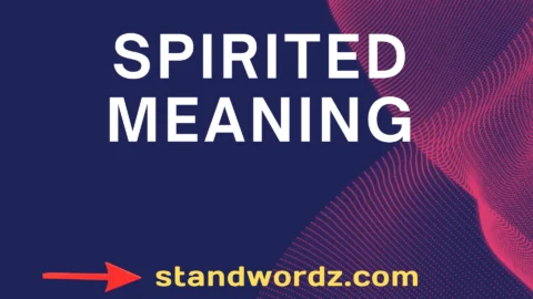 spirited meaning