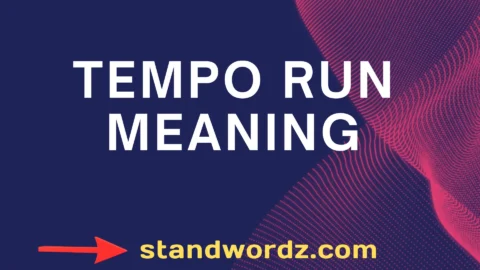 tempo run meaning