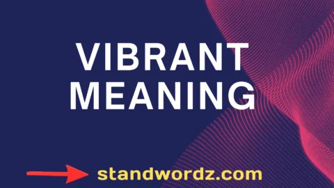 vibrant meaning