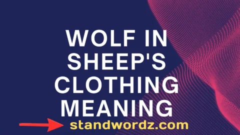 wolf in sheep's clothing meaning