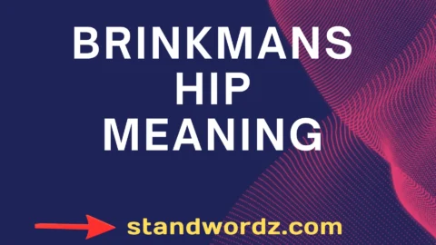 brinkmanship meaning