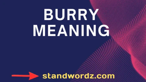 burry meaning