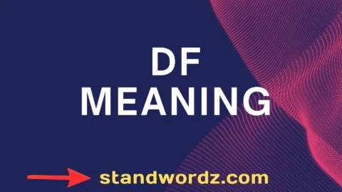 df meaning