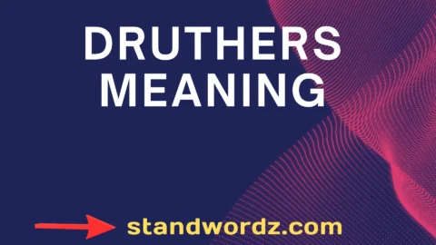 druthers meaning