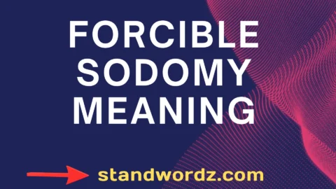 forcible sodomy meaning