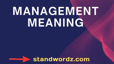 management meaning