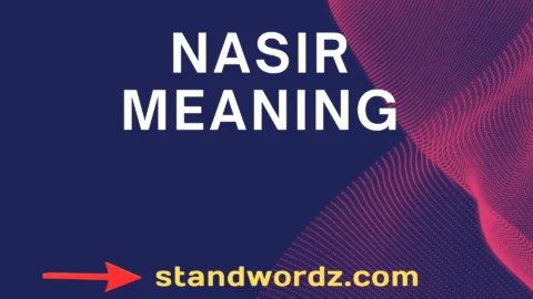 nasir meaning