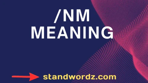 /nm meaning
