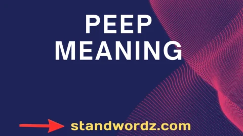 peep meaning