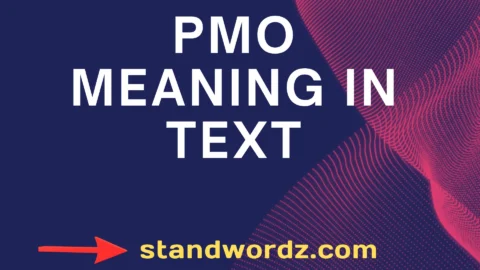 pmo meaning in text