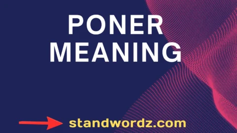 poner meaning