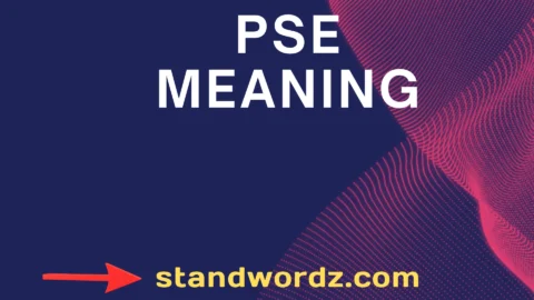 pse meaning
