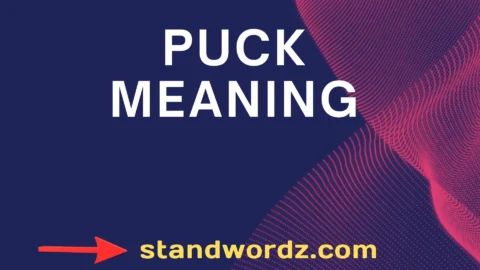 puck meaning