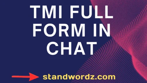 tmi full form in chat