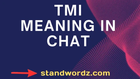tmi meaning in chat
