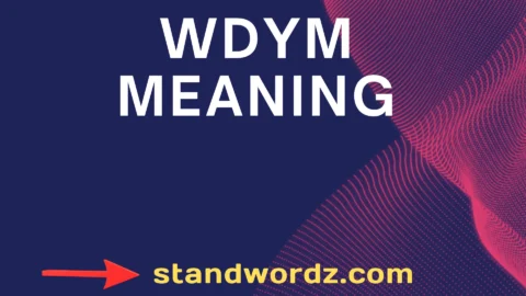 wdym meaning