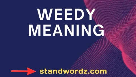 weedy meaning
