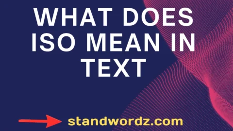 what does iso mean in text