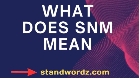 what does snm mean