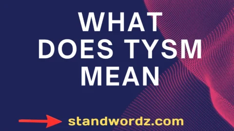 what does tysm mean