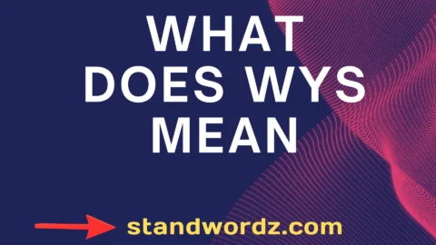 what does wys mean