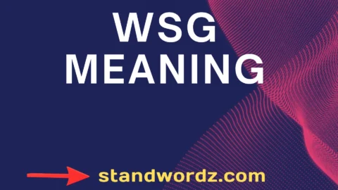 wsg meaning