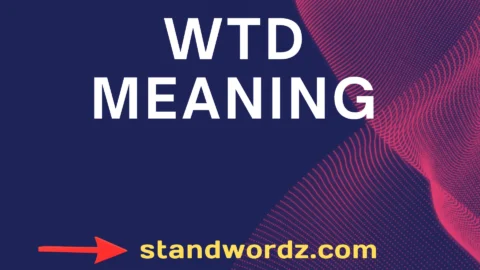 wtd meaning