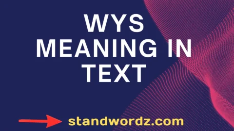 wys meaning in text