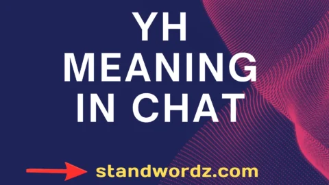 yh meaning in chat