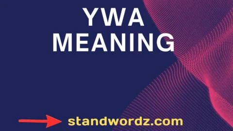 ywa meaning