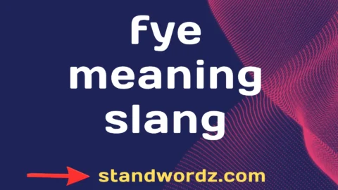 fye meaning slang