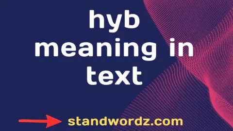 hyb meaning in text