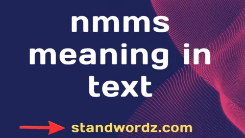 nmms meaning in text