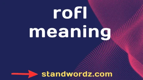rofl meaning
