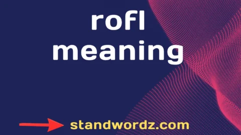 rofl meaning