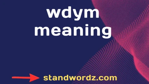 wdym meaning