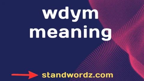 wdym meaning