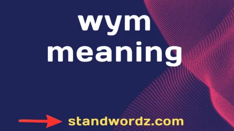 wym meaning