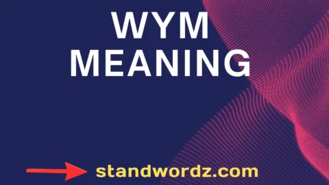 wym meaning