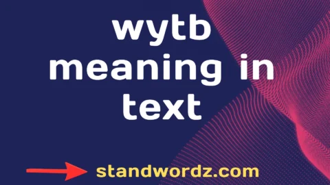 wytb meaning in text