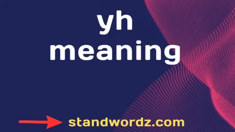 yh meaning