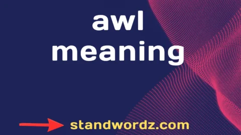awl meaning