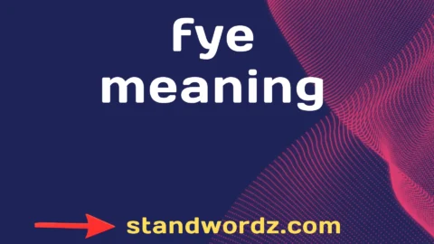 fye meaning