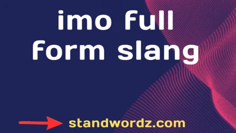imo full form slang