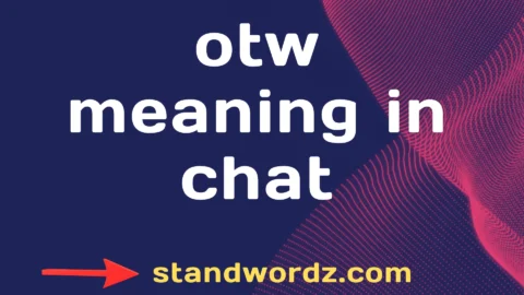 otw meaning in chat