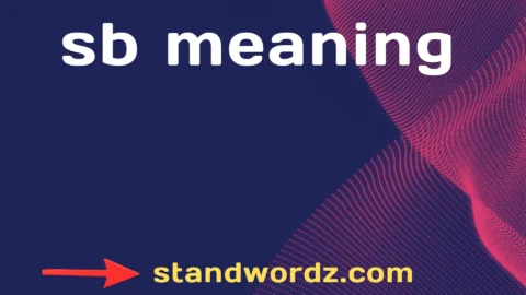sb meaning