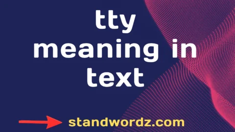 tty meaning in text
